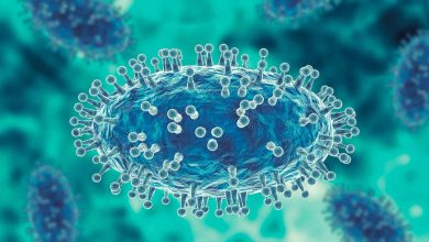 Portal Dicas de Saúde - Fiocruz registra imagens de replicação do vírus monkeypox em célula