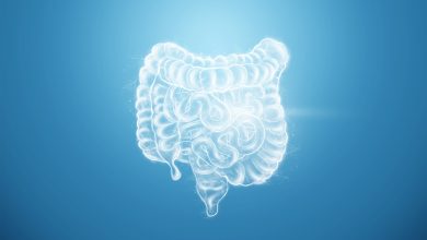 Nutrólogo Goiânia - Você conhece a relação do eixo intestino-cérebro
