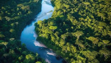 Ministério da Saúde Alocará R$ 225 Milhões para Combater Seca Histórica no Amazonas