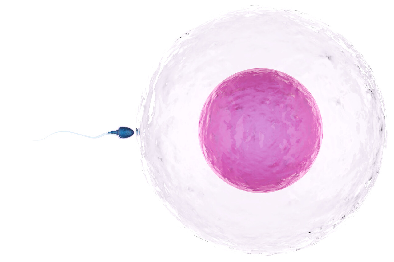 Urologia Goiânia - O impacto do HPV na fertilidade masculina