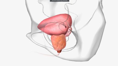 Urologia Goiânia - RTU de próstata: cirurgia de próstata que corrige prejuízos no fluxo de urina