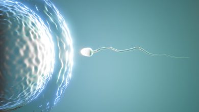 Urologia Goiânia - Varicocele: a doença silenciosa que pode causar infertilidade masculina