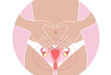 Miomas uterinos: quais os riscos na saúde da mulher?