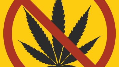 Descriminalização da maconha: os impactos do uso da maconha na saúde mental!