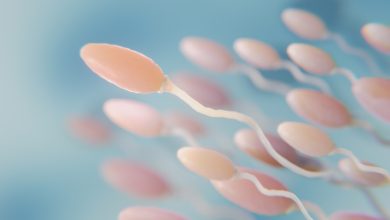 A vasectomia pode ser revertida?