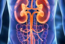 Você sabia que o câncer renal é o 3° tumor urológico mais comum. Saiba mais!