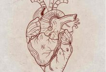Operar ou não operar, porque uma cirurgia cardíaca foi indicada